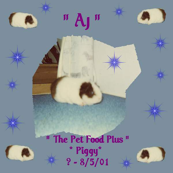 AJ