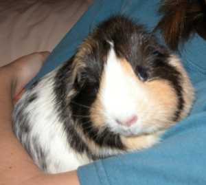 Lila in Mom's arms