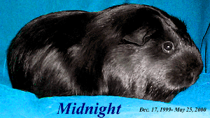 Midnight