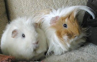 Fabio on the right